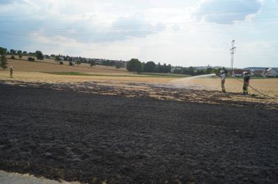 Feld geraet in Freiberg am Neckar in Brand